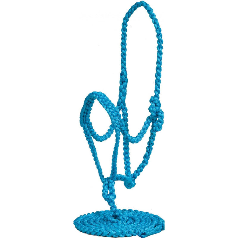 TK292827--Turq Halter Braided Nylon w/Noseband