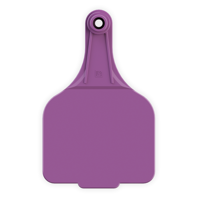 ACSUPERMAXI--Purple LEADER 2 SUPER MAXI Tags 25's w/ Buttons