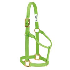 TK35-7004-Small-Lime Halter Non adjustable 1"