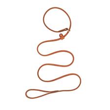 PS06601-06 Dog Leather Lead - Round Slip