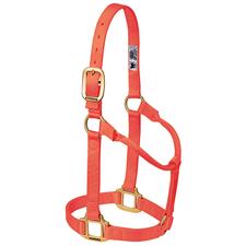 TK35-7006-Large-BO Halter Original Non-Adjustable