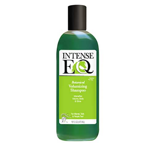 ACINTEQ-SHM Shampoo Intense EQ 16oz