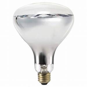 HG575-011 Heat Lamp Bulb-WHITE 250 watt - 2/pkg