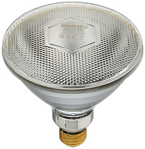 HG621134 Heat Lamp Bulb 175 Watt Clear