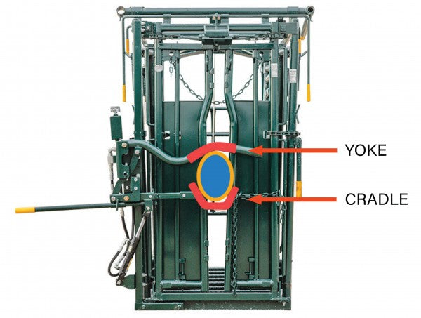 LE1536 Hydraulic Squeeze Head Control