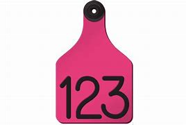 ACRTCOW2-Large-Pink/Blk Ritchey Cow Tags 25's (Pink/Black)