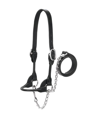 AC80400-30-00 Halter Rounded Show Blk-XS (350-700)