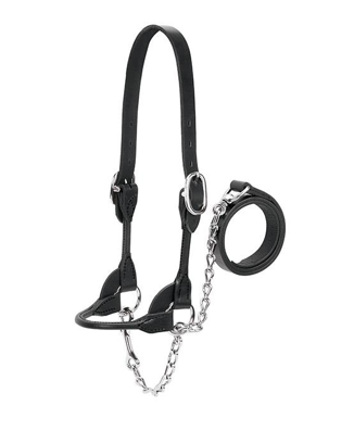 AC80400-40-00 Halter Rounded Show Blk -Sm (650-1050)