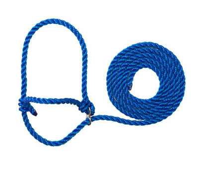 AC35-7910--H11 Halter Breaking Poly Rope - Blue