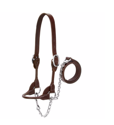 AC90-0535-XL-Brown Halter RoundShow Leather