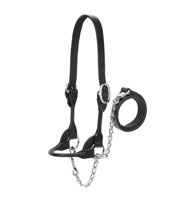 AC90-0520 Halter Rounded Show Blk/Brn Leather Lg