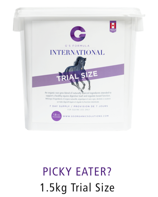 ACG-INTERN-TRIAL G'S International Trial Size 1.5 kg