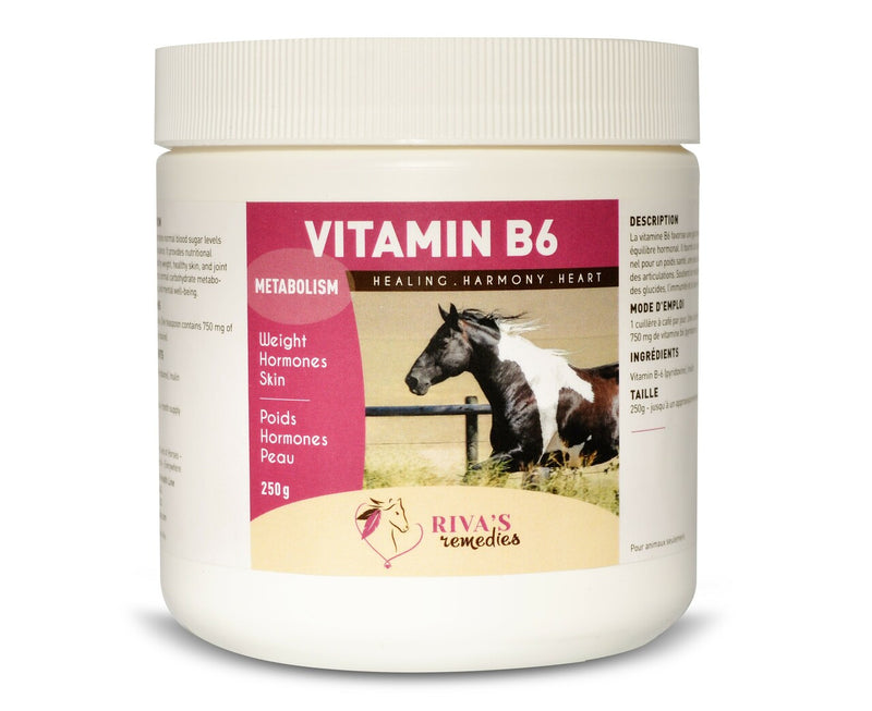 ACVITAMINB6 Riva's Remedies Vitamin B6 250G