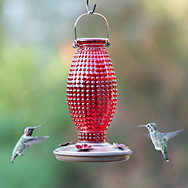 HG850037D Bird Feeder-Hummingbird Hobnail Red