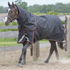 TK22600 Winter Horse Blanket 300G- Magnum Diablo