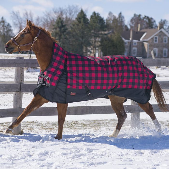 TK19062-78-Rd Plaid Winter Turnout -Buffalo Plaid - High Neck