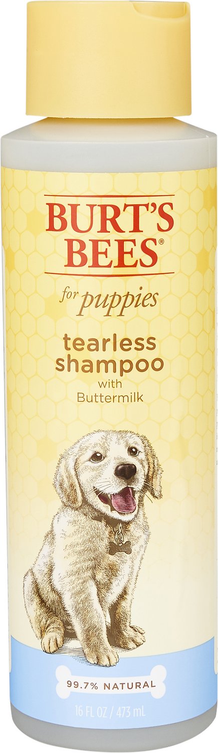 PSD904-75828 Shampoo Tearless Puppy Burt's Bees