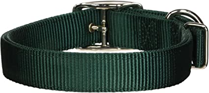 PS419601--Green Dog Collars Double Thick 1" Nylon
