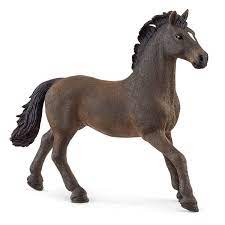 BG13946 Oldenburger Stallion