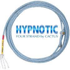 TKCACTUS-HEAD-XS-Hypnotic Cactus Head Ropes
