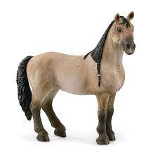 BG13948 Toy- Criollo Definitivo Mare