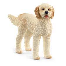 BG13939 Goldendoodle