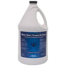 AC677-053 Wheat Germ Oil 4L