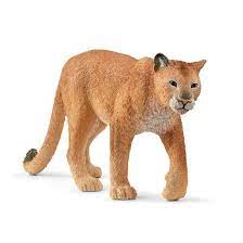 BG14853 Cougar