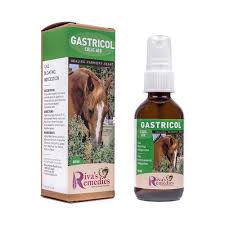 AC53 Riva's Remedies Gastricol 60ml