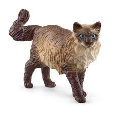 BG13940 Ragdoll Cat