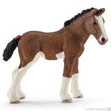 BG13810 Clydesdale Foal