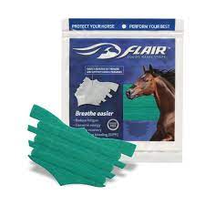 AC119301--Turquoise Nasal Strips Equine Flair 6's