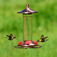 HG850015D Bird Feeder Hummingbird Tulip Top Copper Glass
