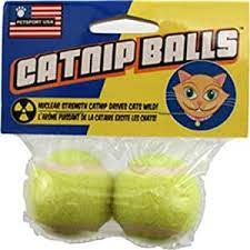 PS70019 Cat Toy Catnip Balls 2 Pk