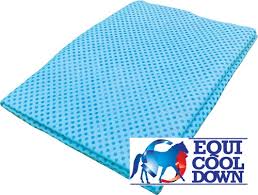 ACV470--Blue Equi Cool Down Cooling Towel