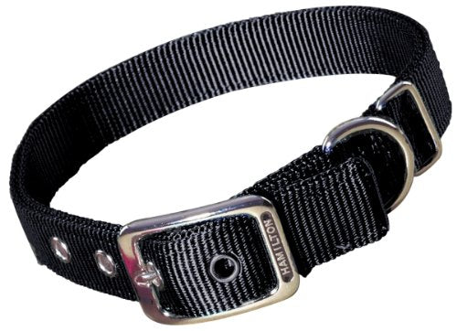 PS9625 Dog Collar Nylon Hamilton 1" x 26"