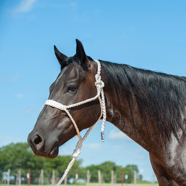 TKCAS/HTR--White Halter Rope w/Lead & Braided Mule Tape