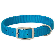PS07-0110-23"-Hur Blue Dog Collar Prism Classic 1"