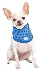 PSVP141-S/M-Blue Ice Band for Dogs