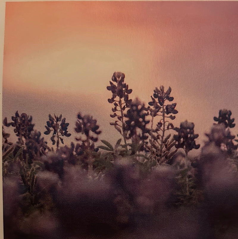 CLRL-36"-1522 Ranch-Life Wild Rags 100% Silk