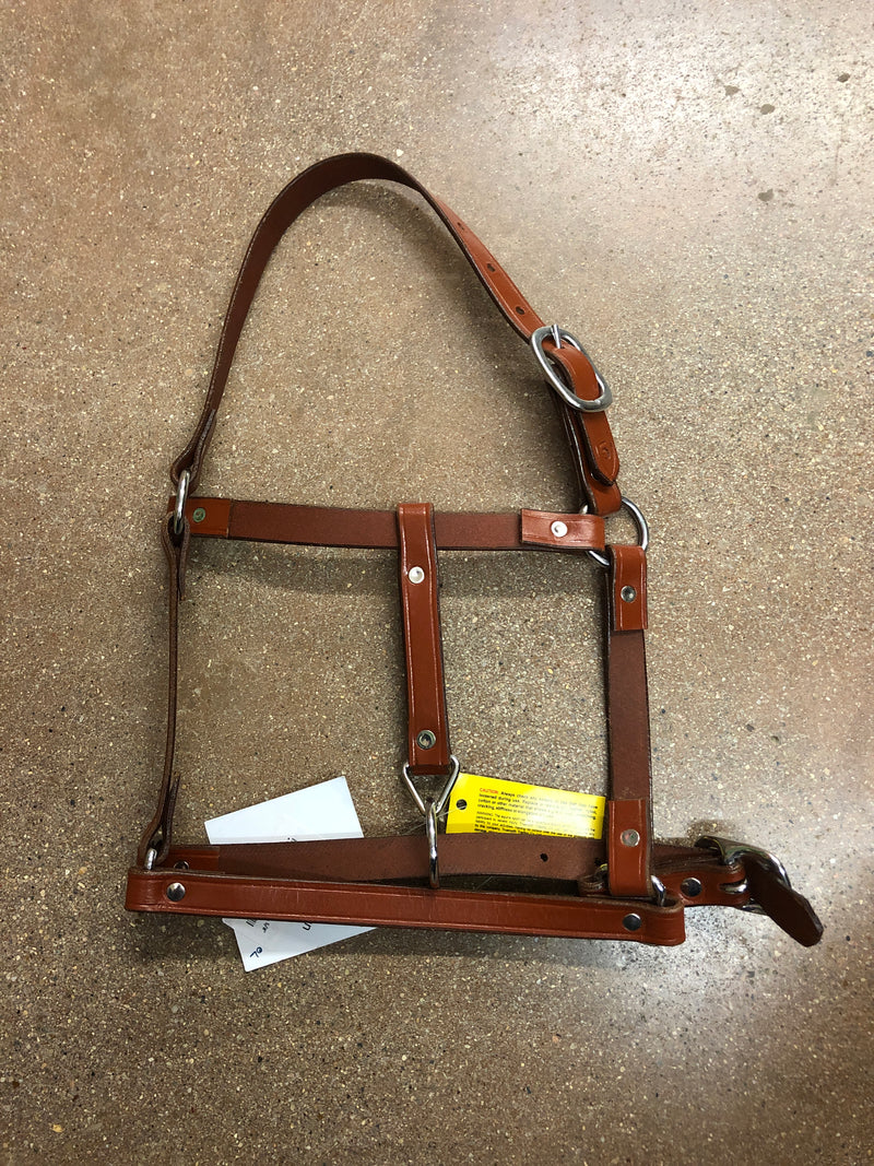 TKHH9035W Halter Leather Riveted  - Weanling