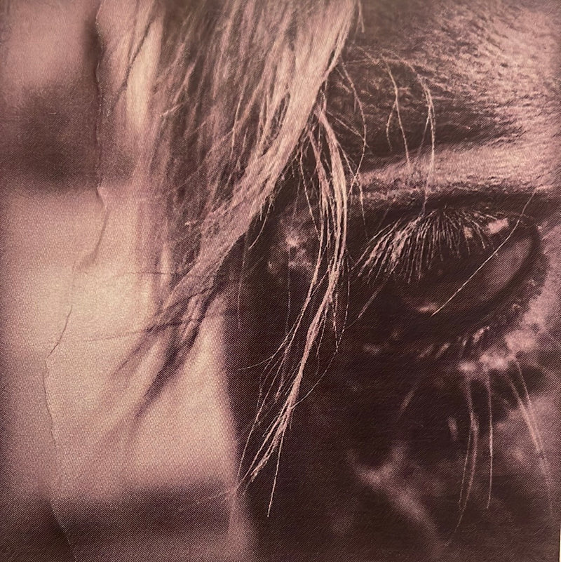 CLRL2-36"-0221 Ranch-Life Wild Rags 100% Silk