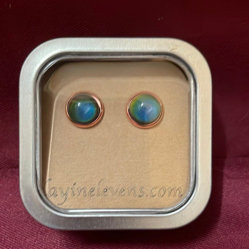 BGLAYINELEVANS--Ros/Rain Layin Elevans Earrings