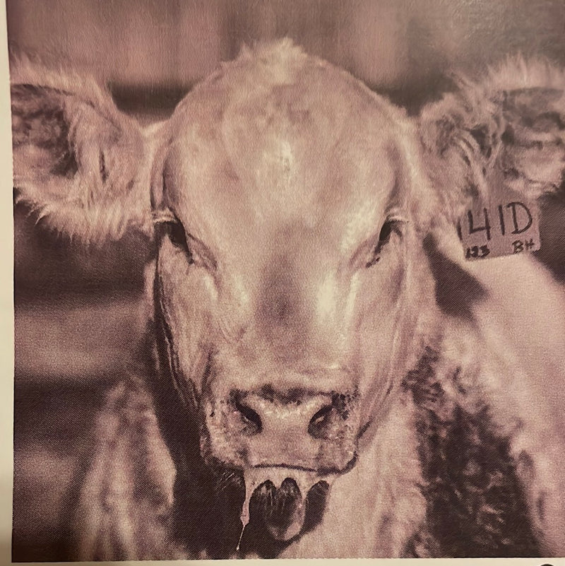 CLRL-36"-0313 Ranch-Life Wild Rags 100% Silk