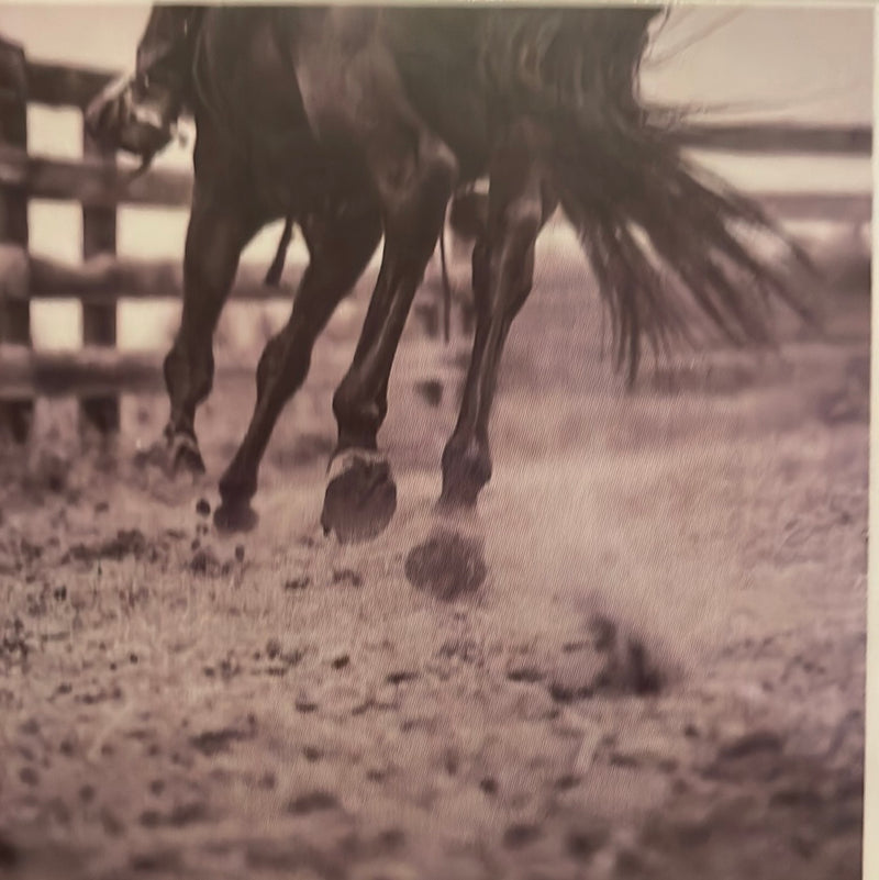 CLRL2-36"-0215 Ranch-Life Wild Rags 100% Silk