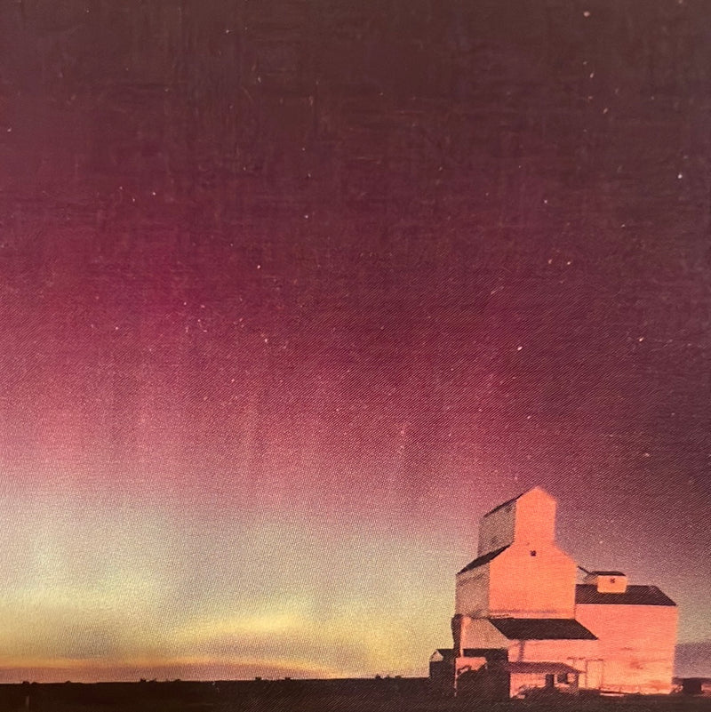 CLRL2-36"-0705 Ranch-Life Wild Rags 100% Silk