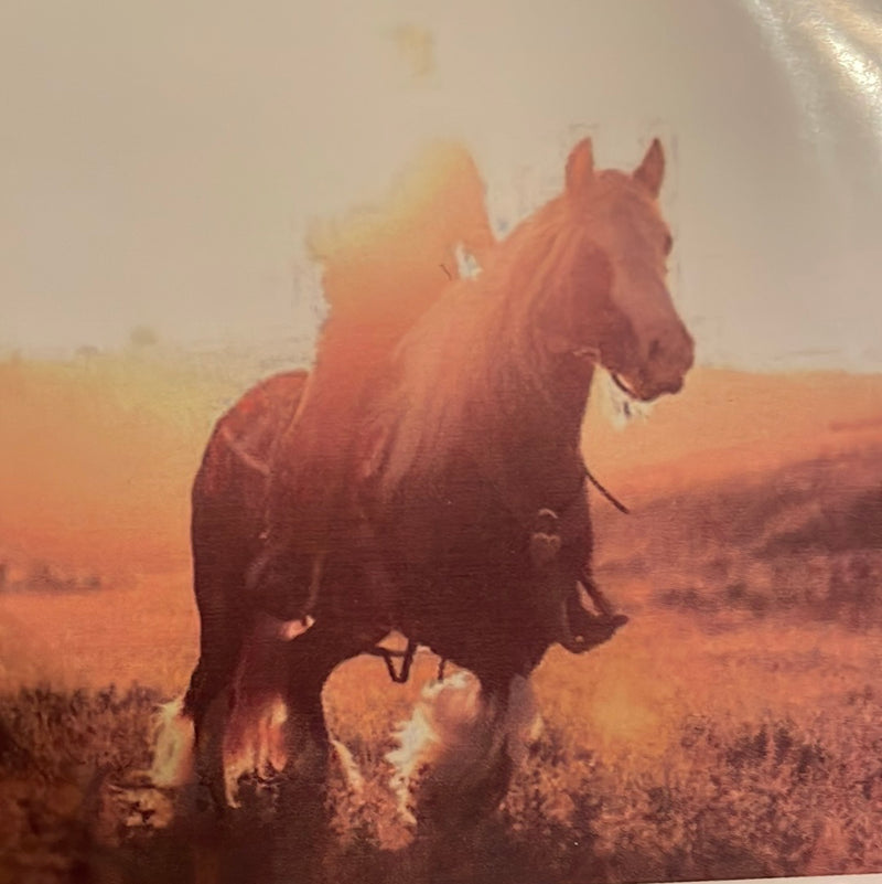 CLRL2-36"-0209 Ranch-Life Wild Rags 100% Silk