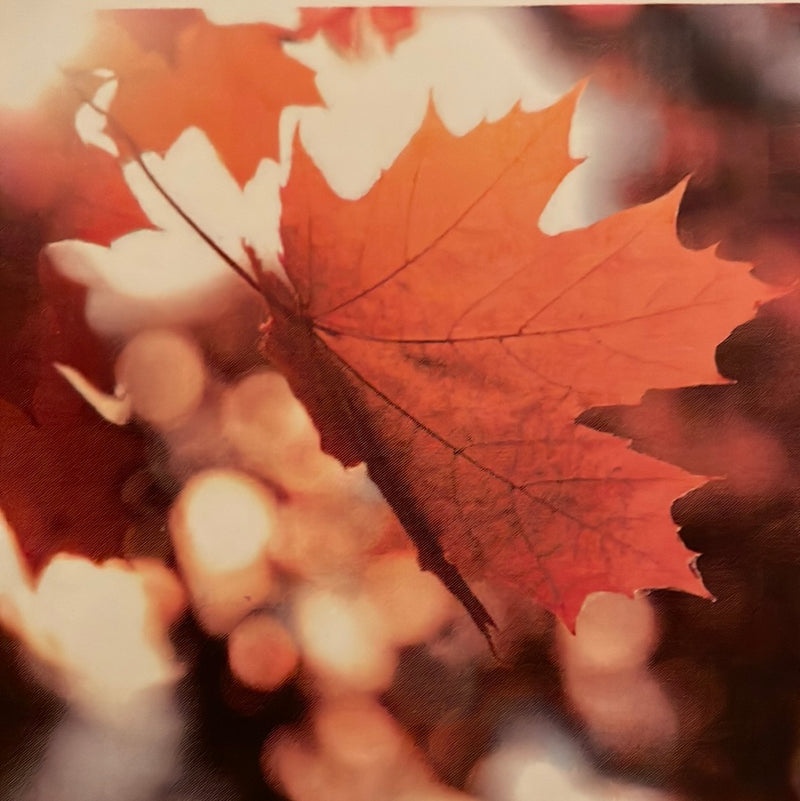 CLRL-36"-1213 Ranch-Life Wild Rags 100% Silk