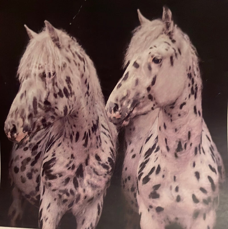 CLRL-36"-0223 Ranch-Life Wild Rags 100% Silk