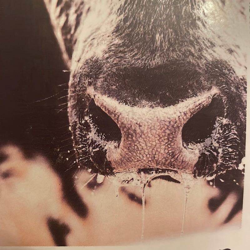 CLRL-36"-0330 Ranch-Life Wild Rags 100% Silk